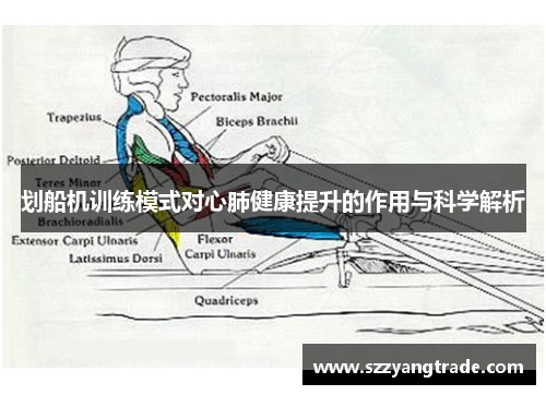 划船机训练模式对心肺健康提升的作用与科学解析