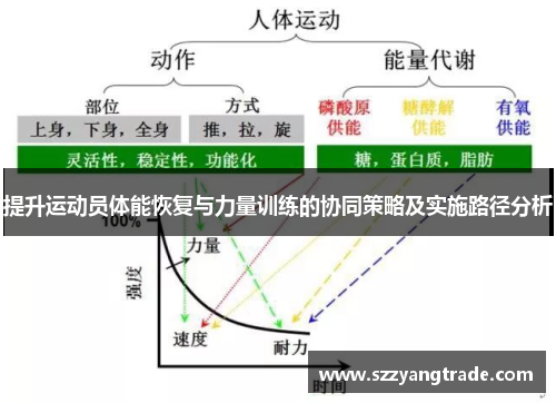 提升运动员体能恢复与力量训练的协同策略及实施路径分析