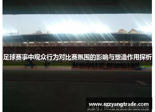 足球赛事中观众行为对比赛氛围的影响与塑造作用探析
