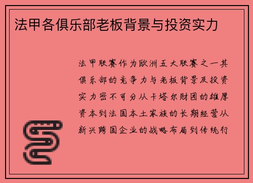 法甲各俱乐部老板背景与投资实力